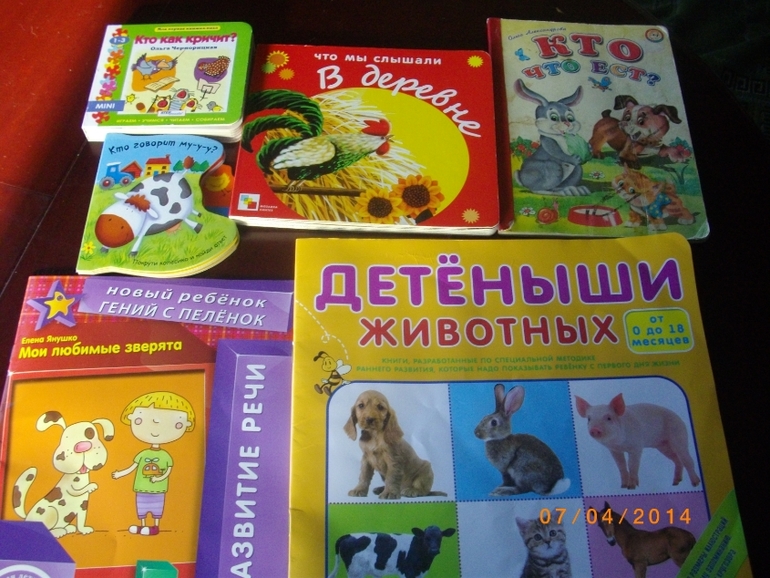 ТН "Скотный двор" День 1. Корова