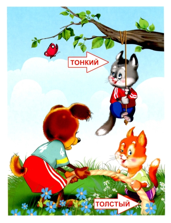 ТН