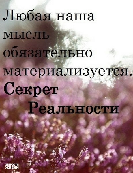 Шесть секретов