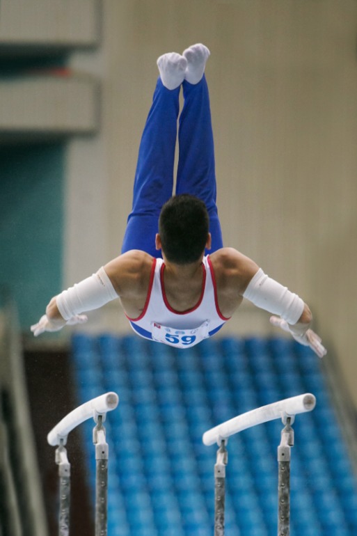 спортивная гимнастика.