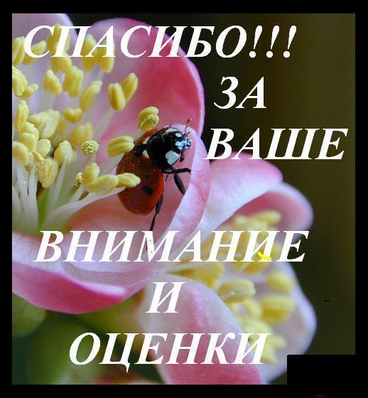 По просьбе желающих!!!