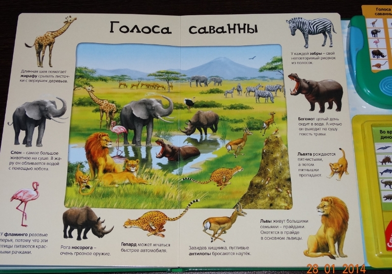 Замечательная книга по очень низкой цене!