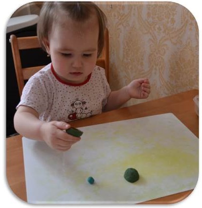ТД "Куда спешит черепаха"