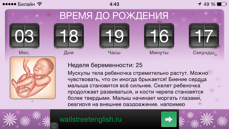 Мой хит-парад бесплатных приложений о беременности на Iphone.
