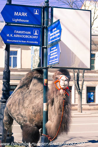 Пасхальные приключения