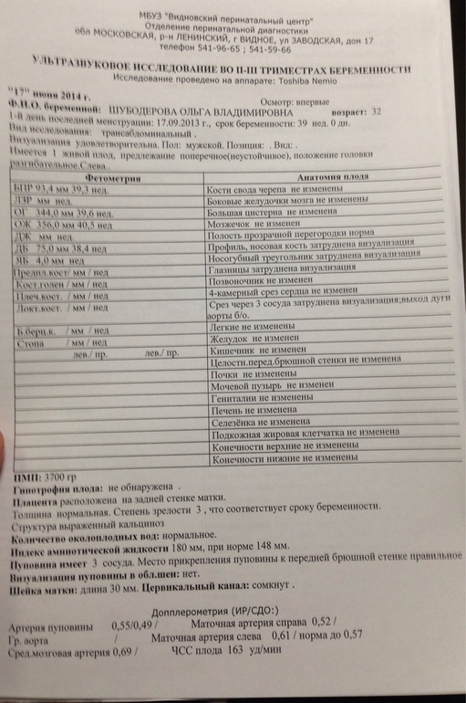 39 недель, узи