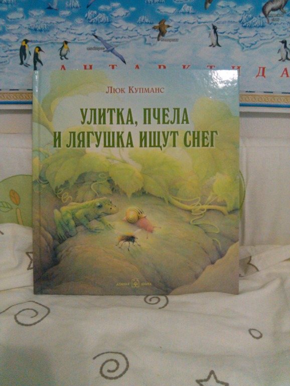 Зимняя неделька -полторы)