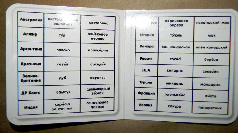 Комплект "Большое путешествие" от компании "Умница"