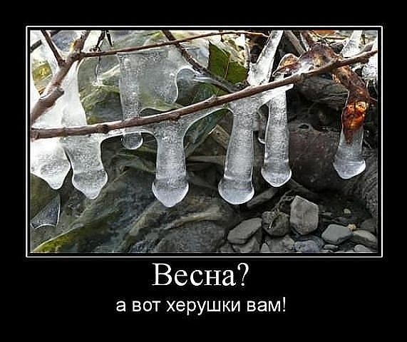 Порция пятничного позитива:)