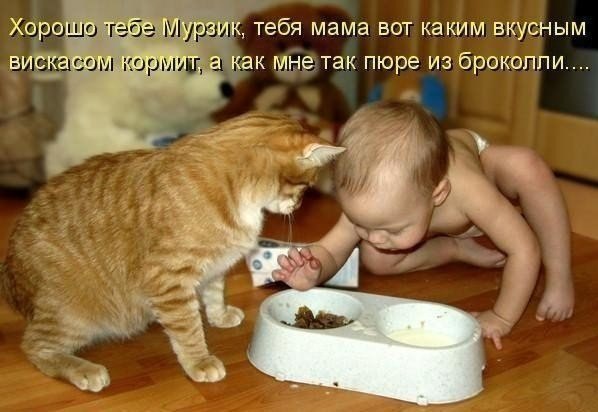 Рассказать особо не о чем....