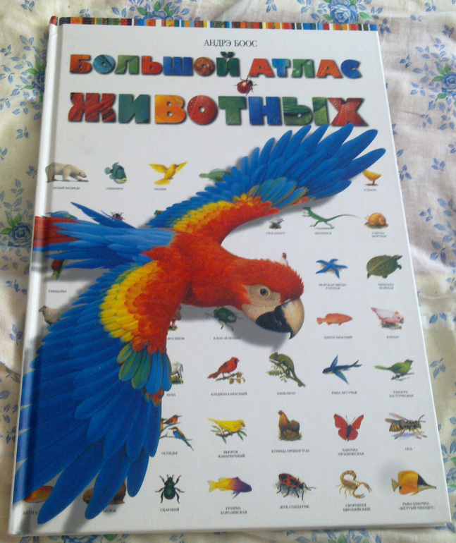 Новые поступления книжечек.