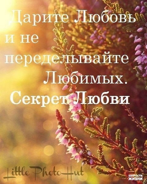 Шесть секретов