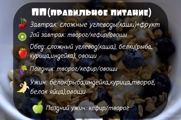 День 2. Диеты и системы питания