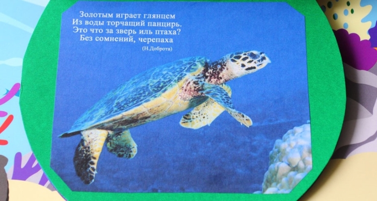 Книга о водных обитателях из картона