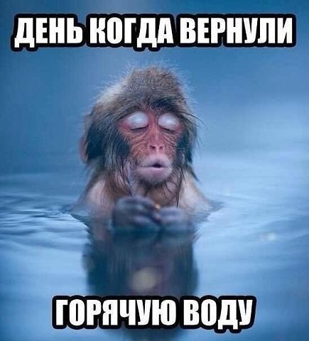 Себе настроение поднимай и о друзьях не забывай.