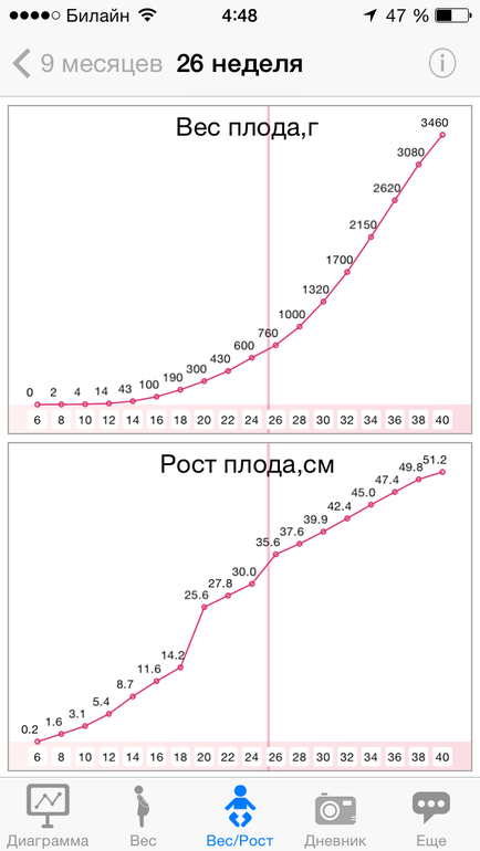 Мой хит-парад бесплатных приложений о беременности на Iphone.