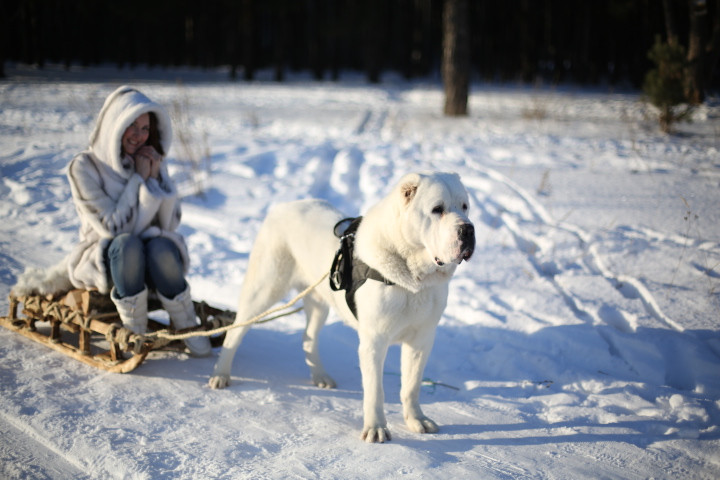 Зимняя фотосессия 2014) Продолжение)