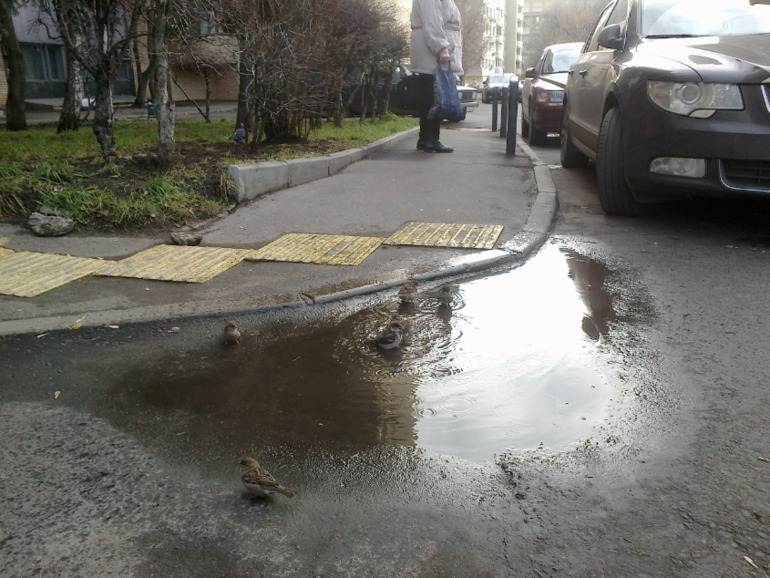 Это было в ноябре 2013г.