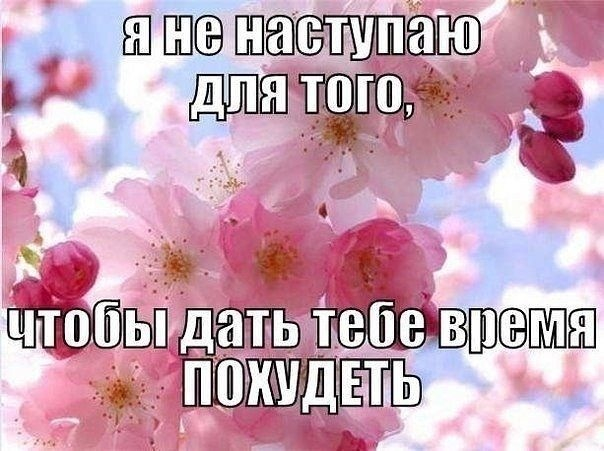Про нас худеющих)))