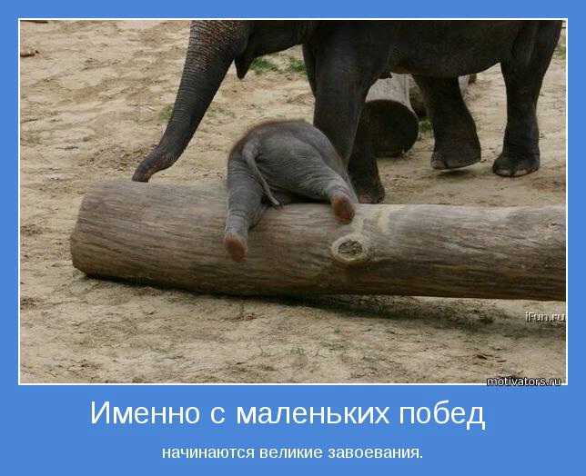 73 день 6