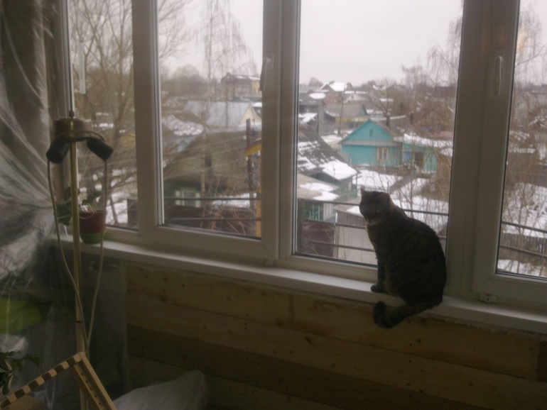 У нас был снег)))много, потом его залило дождем, но накататься с санок успели))