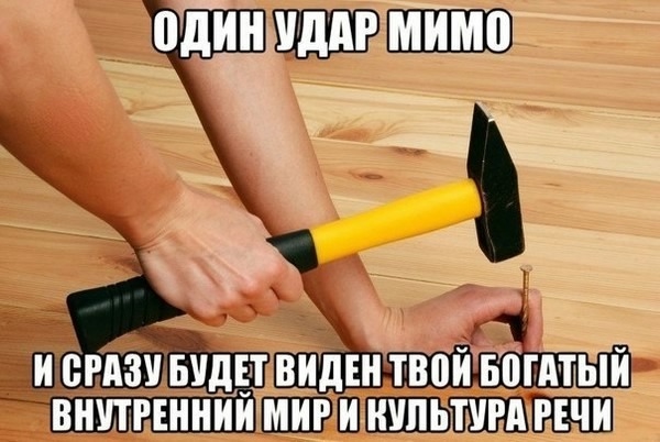 О кошках и не только...
