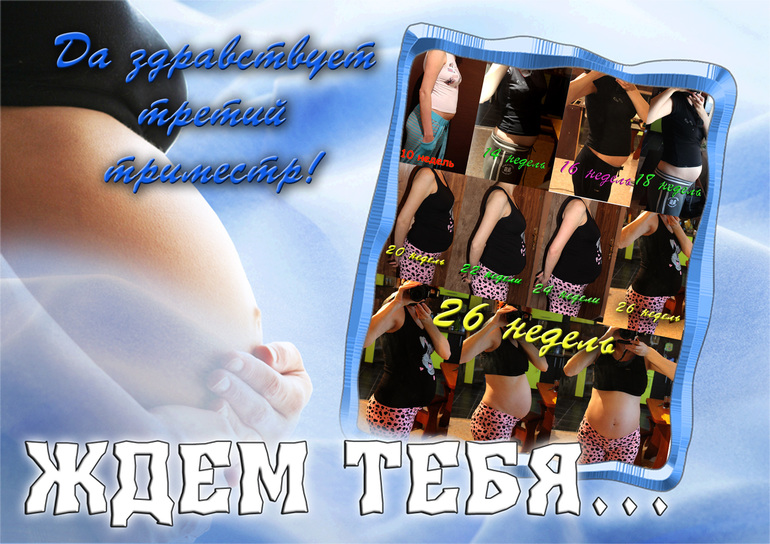 26 недель и