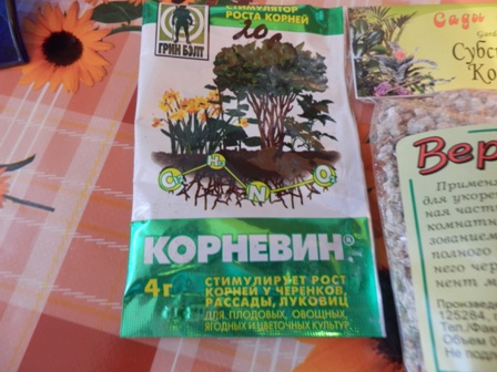 Спасение Экзотического Петушка и немного моих растишек.