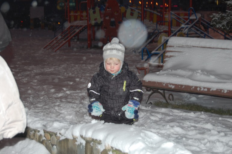 Предновогоднее, гости