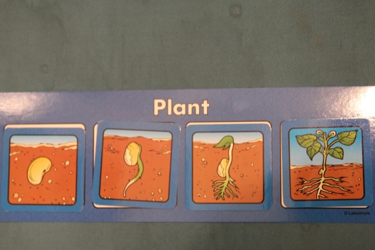 a little seed...