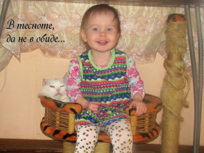 О ребятах и зверятах...