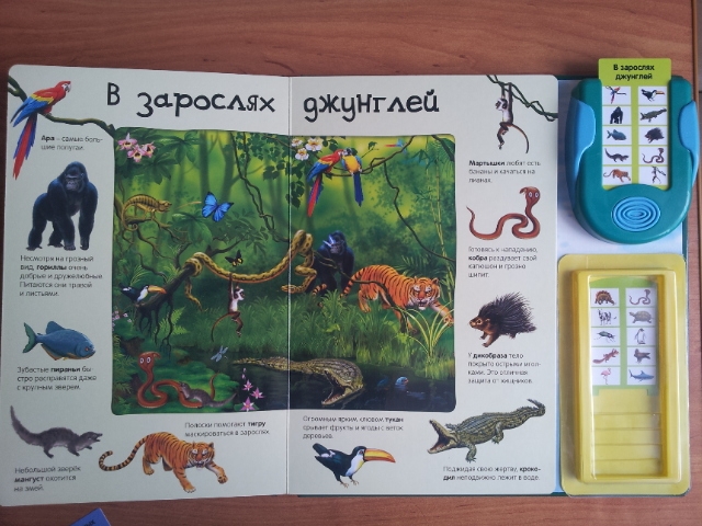 100 волшебных звуков или "Все голоса животных" в одной книге!!!!