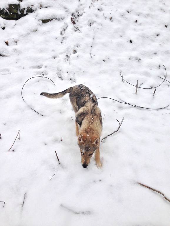 И к нам пришла зима :)