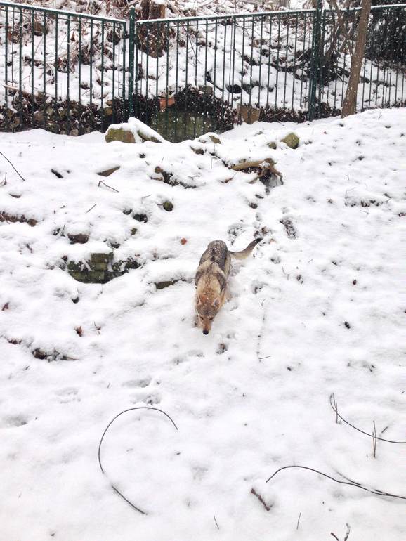 И к нам пришла зима :)