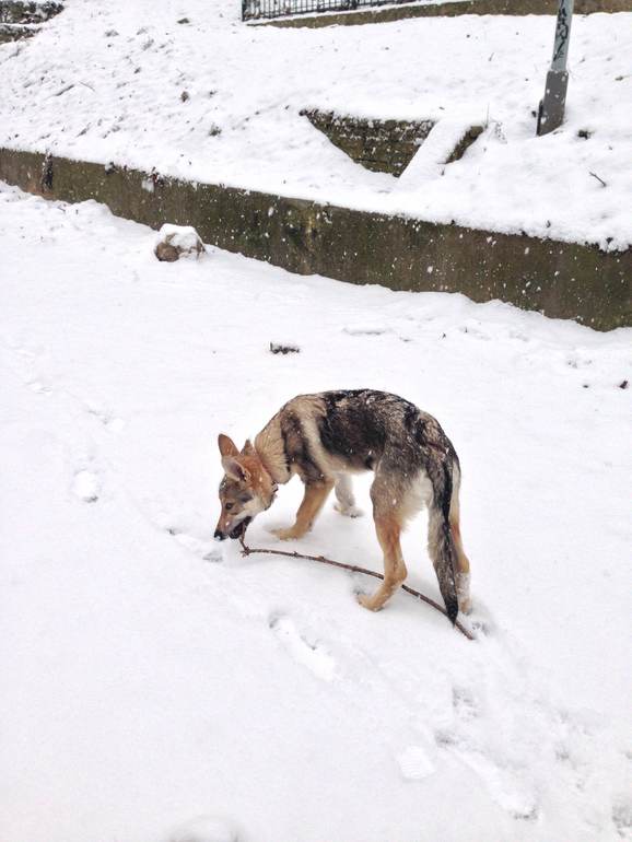 И к нам пришла зима :)