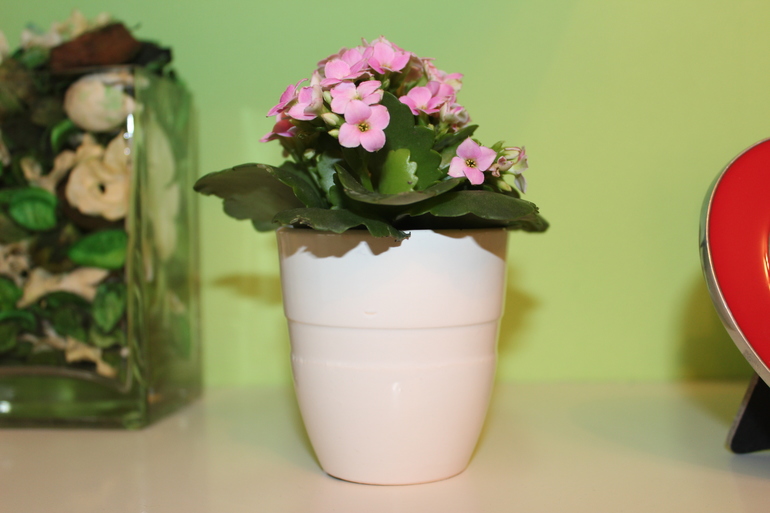 У нас прибавление)