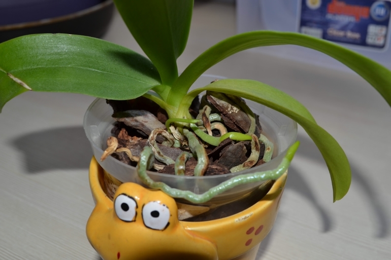 Наконец-то...