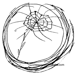 "Полтора года" Нина Ивантер.