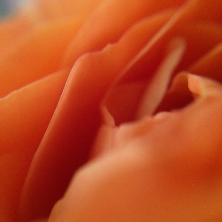 Телефонофотострасть