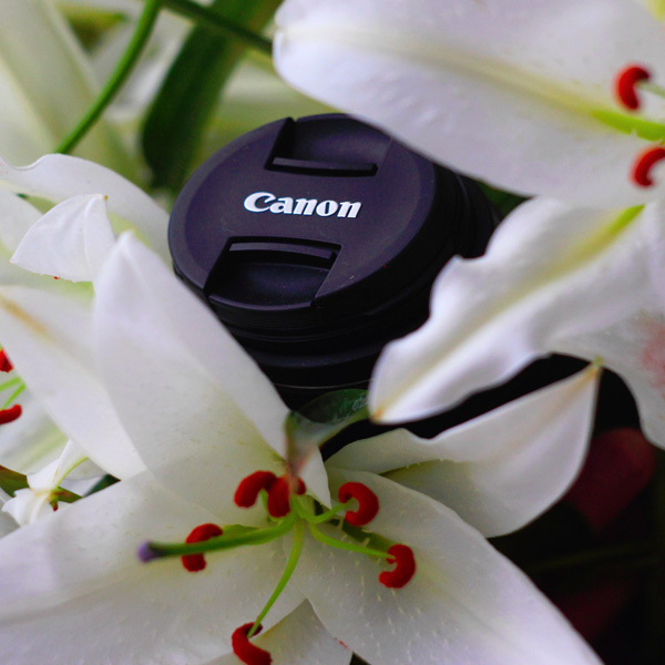 Голосование на новую аватарку