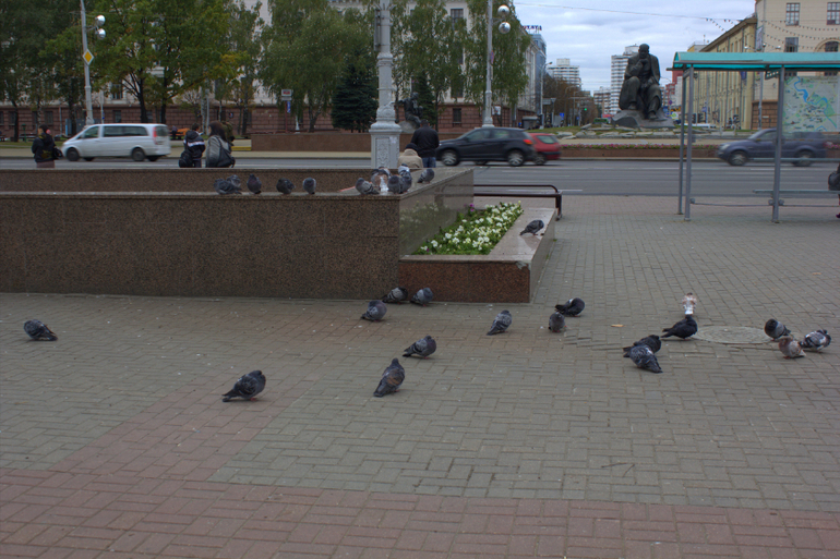 Минск. Осень 2013 г