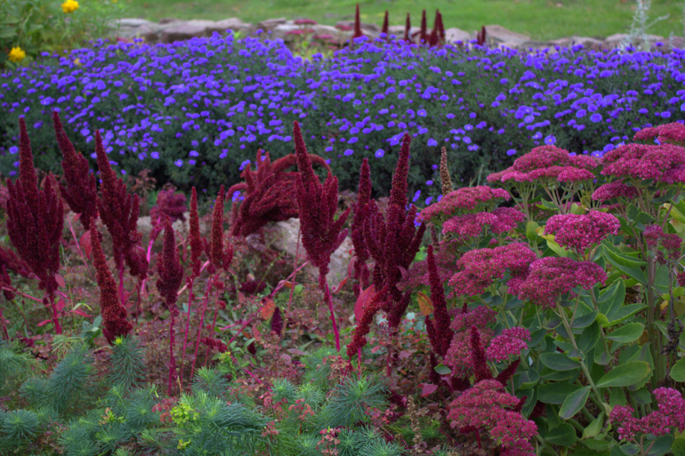 Минск. Осень 2013 г