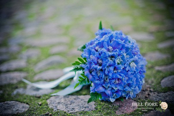 ищу букет СПБ