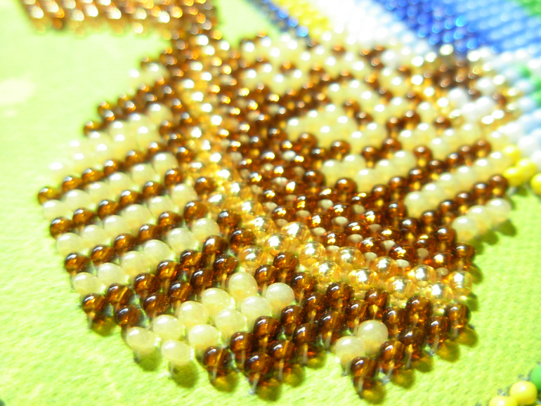 Мои чашечки