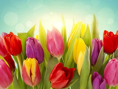 Авантюра Пасхальная - Этап 5!