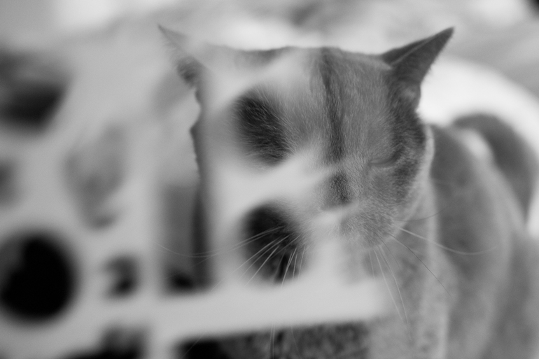 Как я не хотел фотографироваться