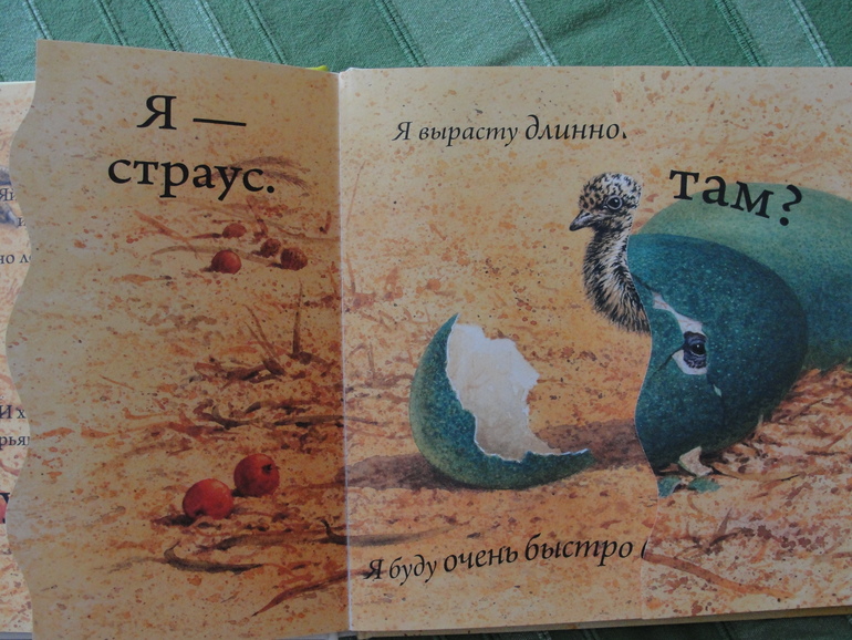 Любопытная книга для маленьких любопытных