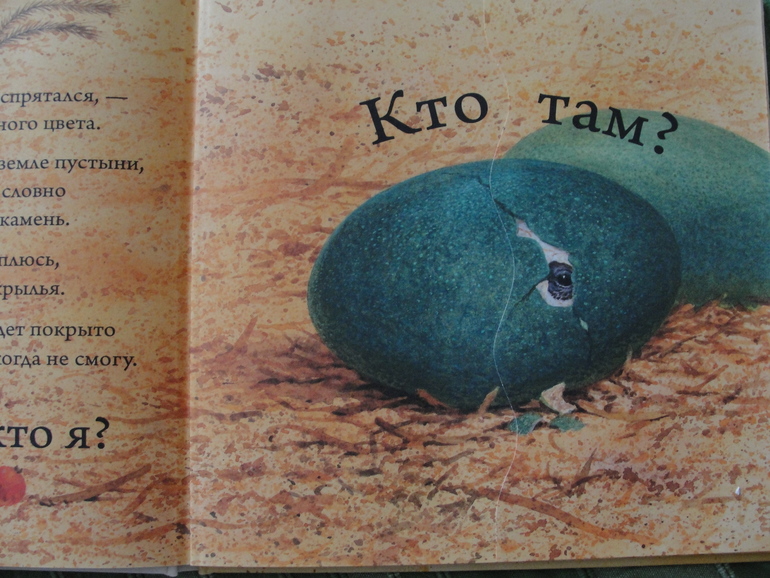 Любопытная книга для маленьких любопытных