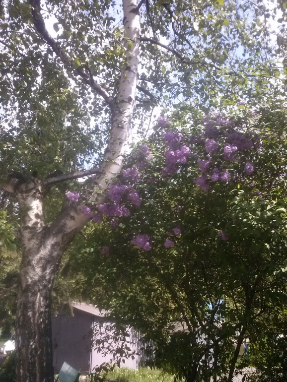 Скоро лето)))