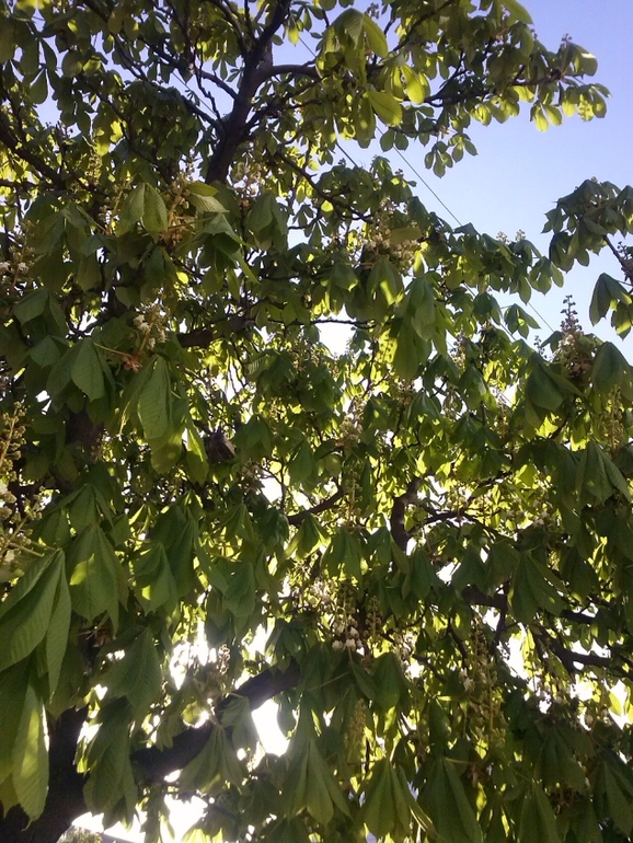 Скоро лето)))